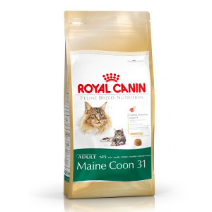 royal-canin-maine-coon-31