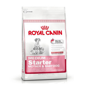 royal-canin-medium-starter-mother-babydog