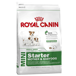 royal-canin-mini-starter-mother-babydog