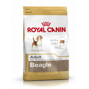royal-canin-beagle