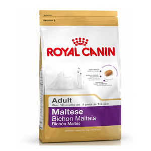 royal-canin-bichon-maltais-adult
