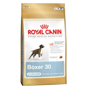 royal-canin-boxer-junior