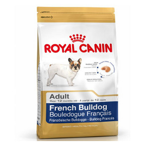 royal-canin-bulldog-francais-adult