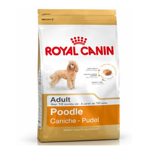 royal-canin-caniche-adult