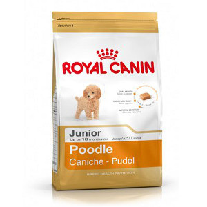 royal-canin-caniche-junior