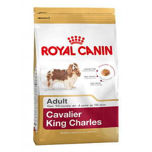 royal-canin-cavalier-king-charles-adult