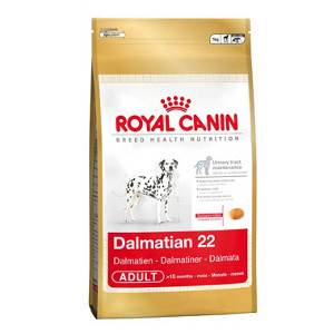 royal-canin-dalmatien-adult