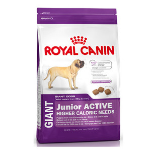 royal-canin-giant-junior-active