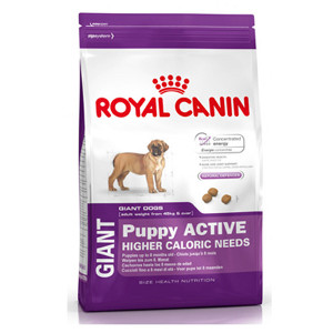 royal-canin-giant-puppy-active