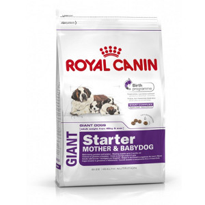 royal-canin-giant-starter