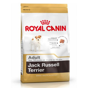 royal-canin-jack-russel-adult