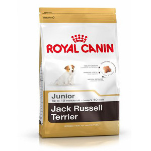 royal-canin-jack-russel-junior