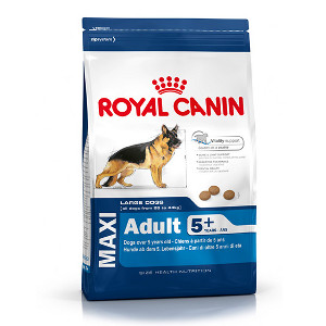 royal-canin-maxi-adult-5-p
