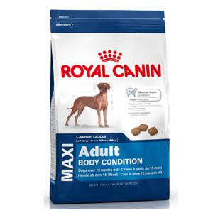 royal-canin-maxi-adult-body-condition