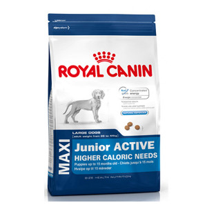 royal-canin-maxi-junior-active