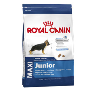 Croquettes Royal Canin Maxi Junior pour chien Comparatif Croquettes