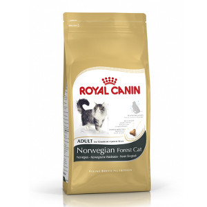 royal-canin-norvegien