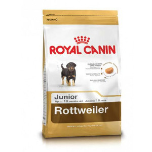 royal-canin-rottweiler-junior