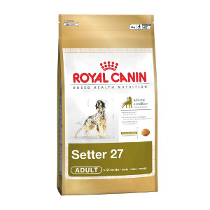 royal-canin-setter-adult