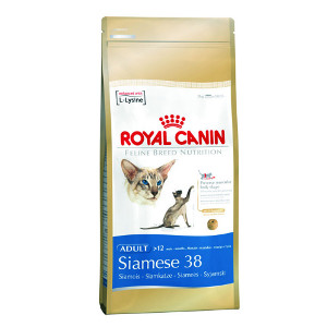royal-canin-siamese-38