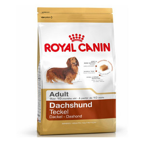 royal-canin-teckel-adult