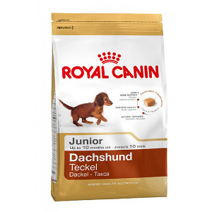 royal-canin-teckel-junior