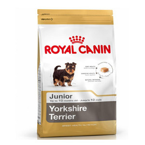 royal-canin-yorkshire-junior