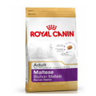 royal-canin-bichon-maltais-adult