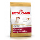 royal-canin-cavalier-king-charles-junior