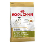 royal-canin-dogue-allemand-adult