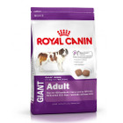 royal-canin-giant-adult