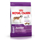 royal-canin-giant-junior