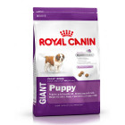 royal-canin-giant-puppy