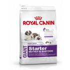 royal-canin-giant-starter