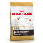 royal-canin-jack-russel-adult