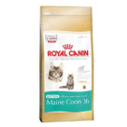 royal-canin-kitten-maine-coon-36