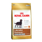 royal-canin-labrador-sterilised