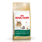 royal-canin-maine-coon-31