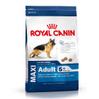 royal-canin-maxi-adult-5-p