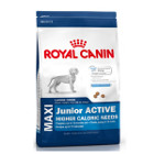 royal-canin-maxi-junior-active