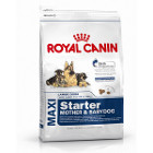 royal-canin-maxi-starter-mother-babydog