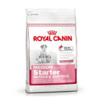 royal-canin-medium-starter-mother-babydog