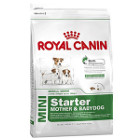 royal-canin-mini-starter-mother-babydog