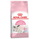 royal-canin-mother-babycat-34