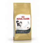 royal-canin-norvegien