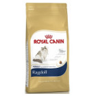 royal-canin-ragdoll