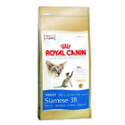 royal-canin-siamese-38